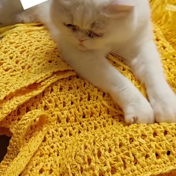 Petek Dokulu Sarı Hasır Örgü Çanta